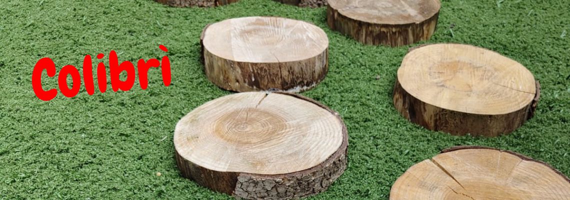 Crescere insieme al Colibrì