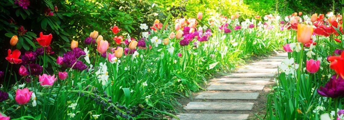 Risveglio, rinascita, energia… È Primavera