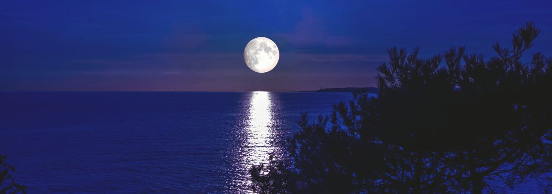 Una giornata speciale per “parlare” alla Luna
