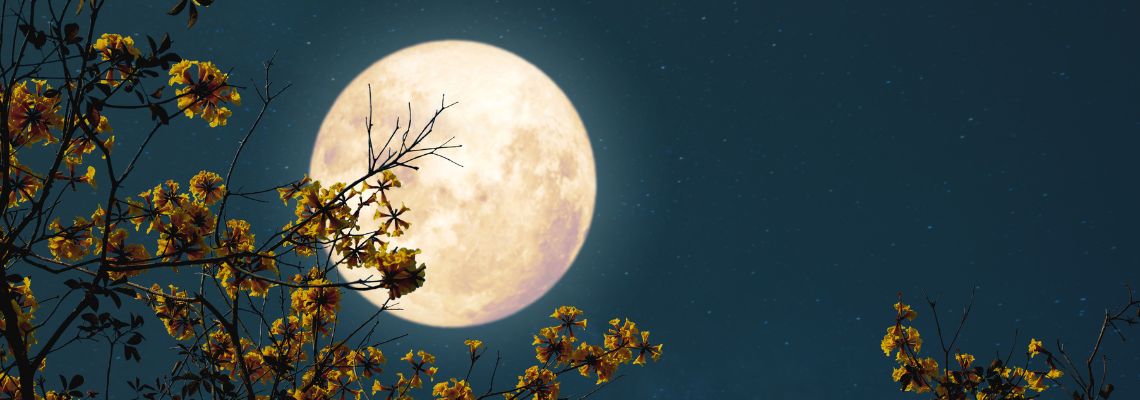 A “caccia” di noi stessi…