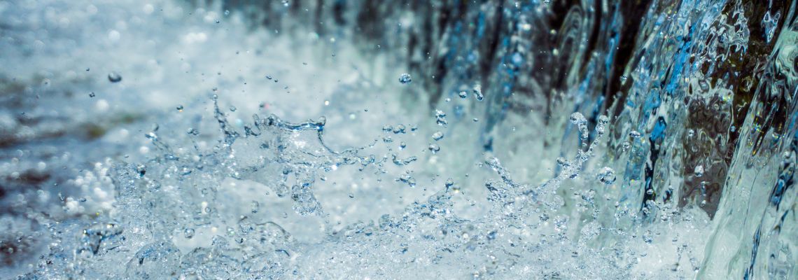 L'Acqua che nutre, fluisce, accoglie