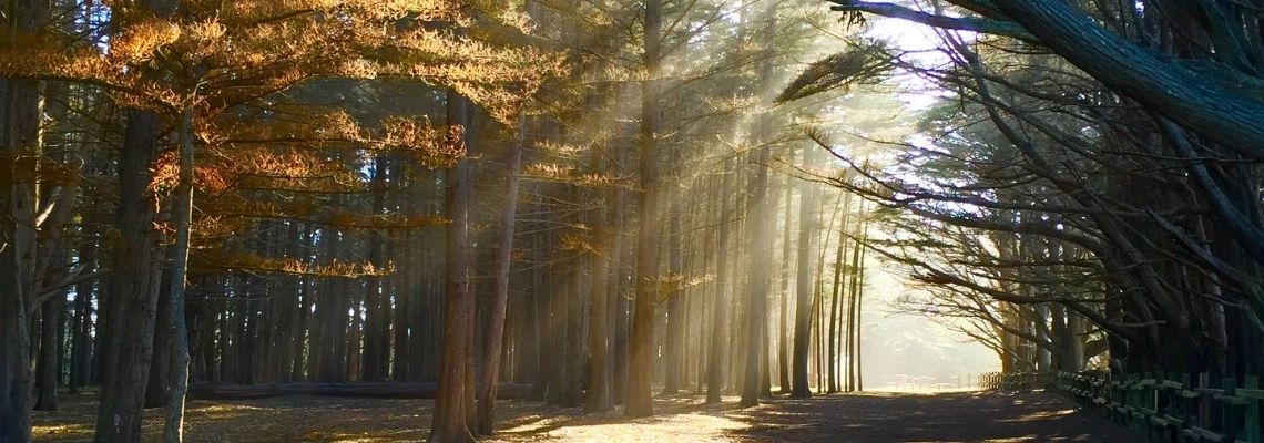 Equinozio d’Autunno, il valore di un giorno