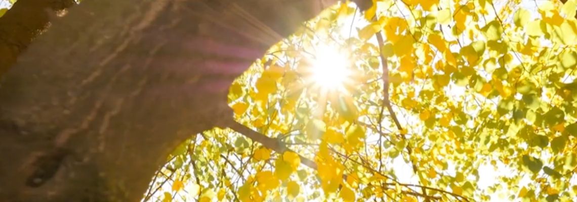 Vivi la tua esperienza...Pranic Healing