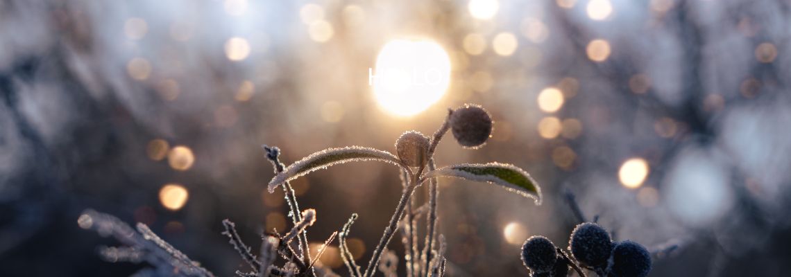 Inizia l’inverno, inizia la rinascita